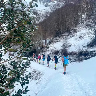 Le groupe marche sur un sentier enneigé en forêt